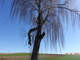 Spacer w poszukiwaniu wiosny